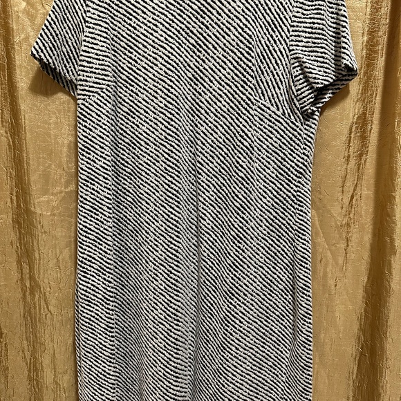 Calvin Klein sz 14 Black & White Casual Sheath Dress - Picture 2 of 6